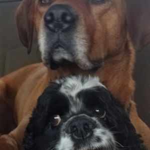 Meet your Posher, Donna